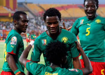 Прогноз на матч Гамбия — Камерун (29 января 2022)